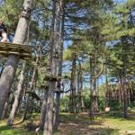 Hochseilgarten im Wald mit Plattformen und Seilen zwischen Bäumen.