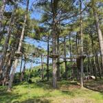 Hochseilgarten im Wald mit Plattformen und Seilen zwischen Bäumen.