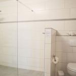 Badezimmer mit Dusche, Toilette und Pflanze auf der Ablage.