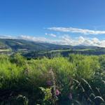 Blick auf grüne Hügel mit lila Blumen unter blauem Himmel