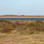 Rotes Leuchtturmhaus am Ufer mit Strand und Dünen im Hintergrund.