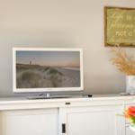 TV auf weißen Schrank, daneben Trockenblumen und Wandbild mit Motiv.