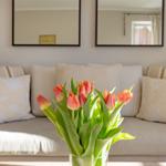 Ein Sofa mit Kissen und Tulpen im Vordergrund.
