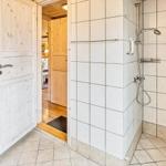 Dusche mit Duschbrause und Handbrause, Tür führt in Wohnbereich.