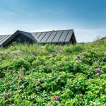 Moderne Hütte mit schwarzem Dach auf grüner Hügellandschaft mit rosa Blumen.