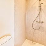 Dusche mit Duschbrause und Toilette in einem Badezimmer.