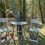 Holztisch und zwei Stühle stehen im Wald zwischen Bäumen.