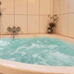 Duschbad mit Whirlpool, Wanddusche und Pflanze in Ecke