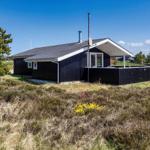 Schwarze Holzhütte mit Terrasse, umgeben von Gras und Bäumen unter blauem Himmel.