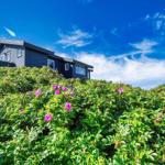 Schwarzes Haus auf Hügel mit rosa Rosen und blauem Himmel.