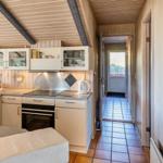 Küche mit Holzwand und integriertem Ofen. Tür führt zu Terrasse.
