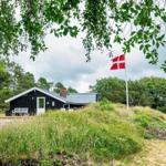Schwarzes Ferienhaus mit weißer Tür und dänischer Flagge im Grünen.