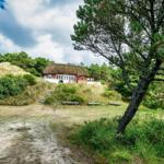 Haus mit Dachrinne auf Dünenhügel, umgeben von Bäumen und Gras.