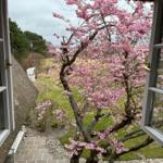 Ausblick Schlafzimmer nach Osten im März/April App. "Tjalk"