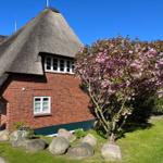 Aussenansicht Süden im Mai. Die oberen Fenster gehören zum Wohnzimmer vom App. "Tjalk"