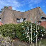 Aussenansicht Süd-West im März