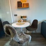 Round table with chairs and fur cover under a lamp