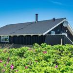 Schwarzes Haus mit Dach und Satellitenschüssel im Grün.
