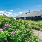 Schwarzes Haus mit Dach und Fenstern, umgeben von rosa Blumen und Gras.