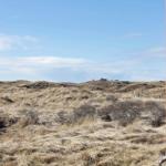 View of dry grassland and hills under blue sky through window