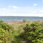 Weg durch Gräser und Rosen zum Wasser