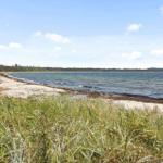 Strand mit Gras und Wasser unter blauem Himmel.
