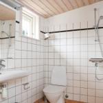 Badezimmer mit Dusche, Toilette und Waschbecken.