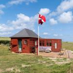 Rotes Holzhaus mit Terrasse, Grill und dänischer Flagge auf grünem Grund.