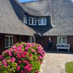 Eingangsbereich Westen im Juli