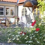 Garten mit Blumen und Sitzgelegenheiten vor einem Haus mit Terrasse.