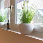 Fensterbank mit zwei Pflanzen in weißen Töpfen und Kerzenhalter.