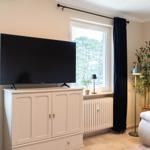 TV auf weißen Schrank, Fenster mit Vorhang, Sofa und Pflanze im Raum.