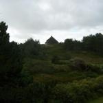 Hütte mit Dach auf Hügel, umgeben von Bäumen und Gras.