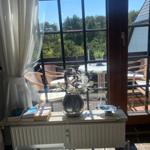 Blick auf Balkon mit Garten und Tischstühlen durch große Fenster.