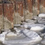 Ein kleiner Vogel steht auf Eisblöcken neben rostigen Pfosten.