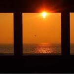 Sonnenuntergang über dem Meer durch Fenster mit Vogel