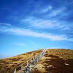 Holzsteg führt bergauf durch trockenes Gras unter blauem Himmel.