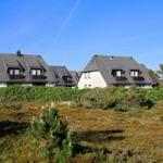 Zwei Häuser mit Dachterrassen und dunklen Dächern stehen in einer grünen Landschaft.