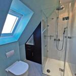 Badezimmer mit Dusche, Toilette und Dachfenster