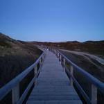 Holzbrücke führt durch Dünenlandschaft unter blauem Himmel
