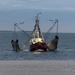 Roter Fischfangschiff mit Netzen im Wasser nahe Strand.