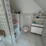 Badezimmer mit Dusche, Toilette und Schränken