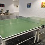 Die Tischtennisplatte im Flur (Tischtennisschläger und Bälle sind im Apartment vorhanden)