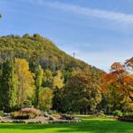 Der Kurpark im Herbst mit leuchtenden Blättern