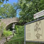 Der Burgberg