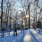 Der Kurpark im Winterzauber