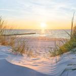 Sonnenuntergang über dem Meer mit Sanddünen und Strandgras.