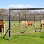 Schwingsessel im Grasfeld mit Pferden im Hintergrund.