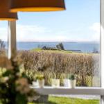 Durch das Fenster sieht man eine Landschaft mit Gras, Steinen und einem See.