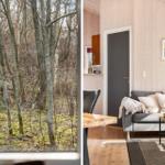Wohnung mit Holzwand und Blick in den Wald